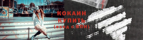 дживик Елабуга