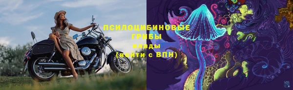 mix Ельня