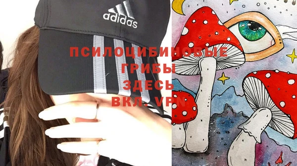 дживик Елабуга