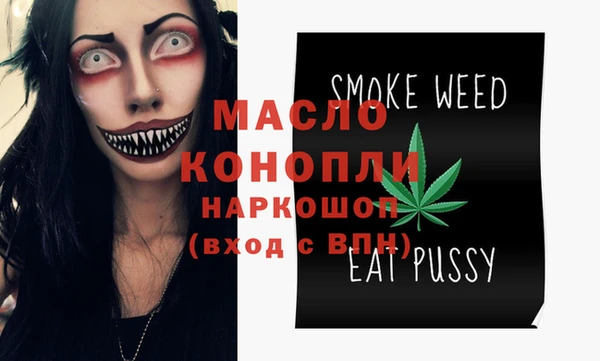 дживик Елабуга