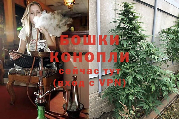 mix Ельня
