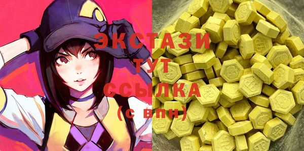 дживик Елабуга