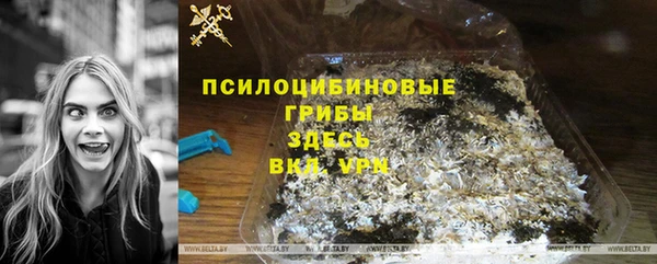 дживик Елабуга