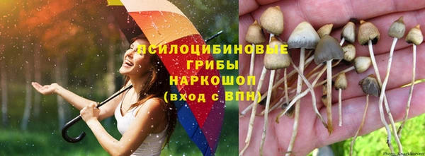 mix Ельня