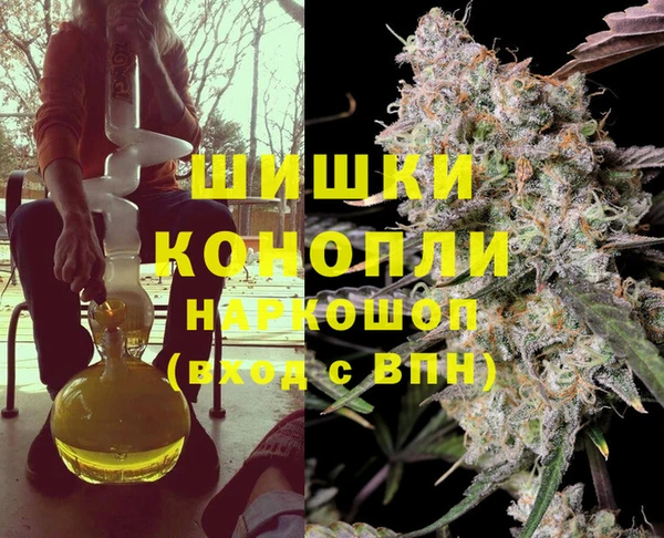 mix Ельня