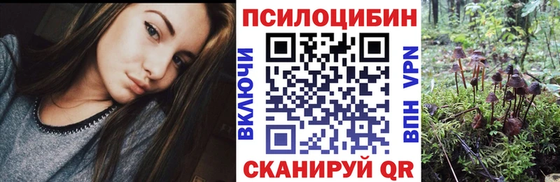 Галлюциногенные грибы ЛСД Катайск